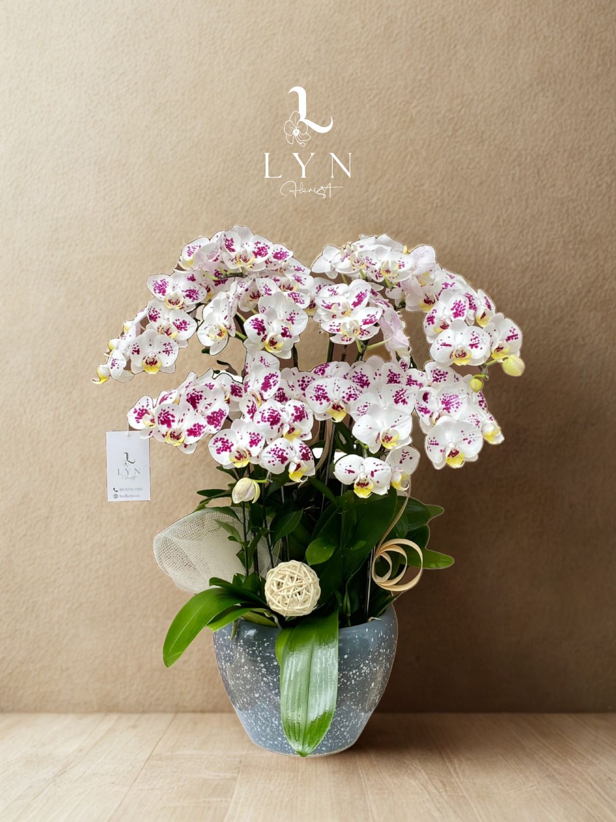 Chậu Hoa Lan Mini Y063-2v